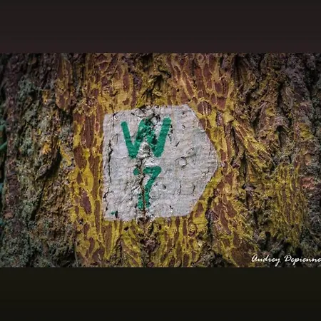 Feriehus Fuer Max6gaeste 2kids 4erwn Haller