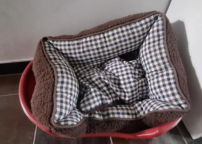 Für Max6gäste 2kids 4erwn Ferienhaus Haller