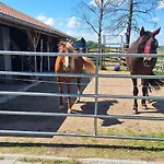 Fuer Max6gaeste 2kids 4erwn Vakantiehuis *