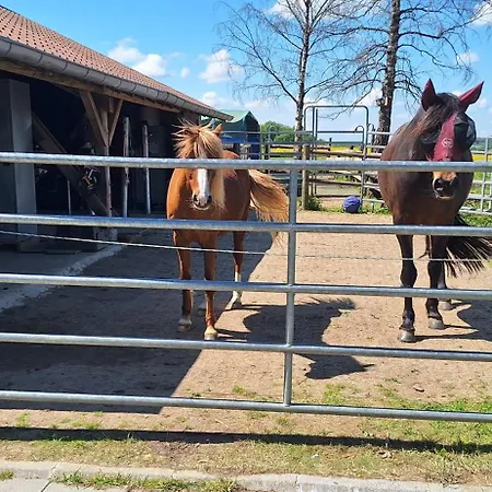 Fuer Max6gaeste 2kids 4erwn 펜션 *