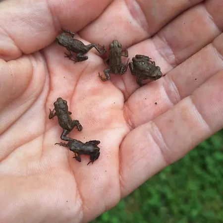 Fuer Max6gaeste 2kids 4erwn *