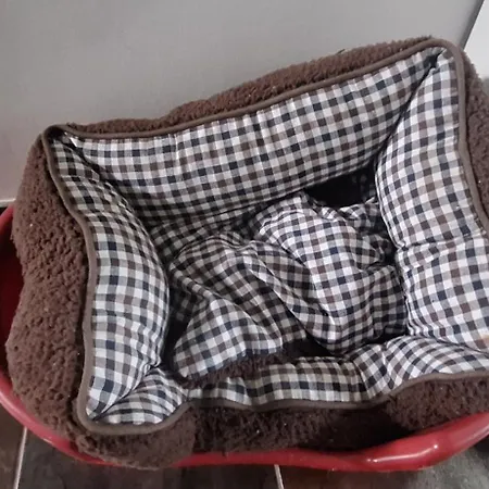 Fuer Max6gaeste 2kids 4erwn بيت للعطل Haller