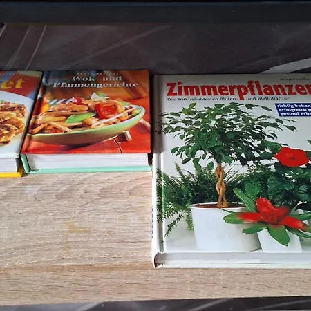 Luxus Oase Mit Sauna Vakantiehuis