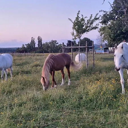 بيت للعطل Fuer Max6gaeste 2kids 4erwn