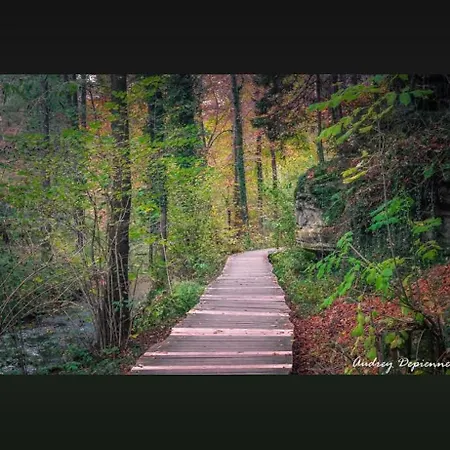 Fuer Max6gaeste 2kids 4erwn *