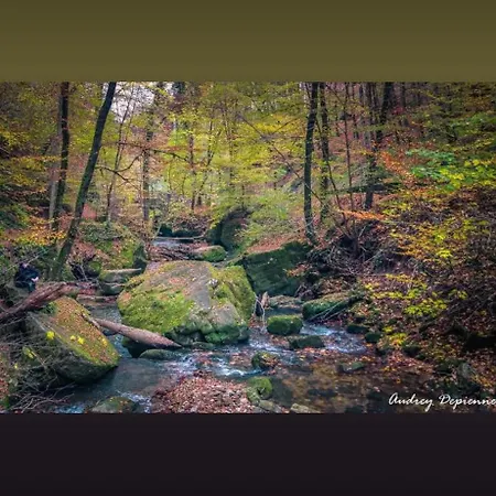 Fuer Max6gaeste 2kids 4erwn Nyaraló *