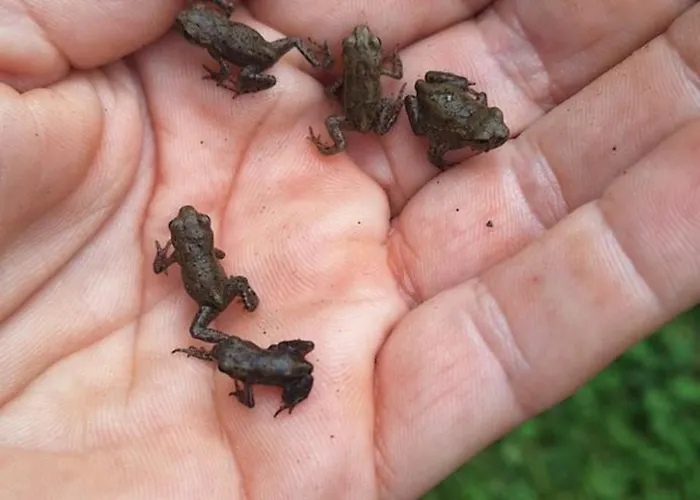 Fuer Max6gaeste 2kids 4erwn *