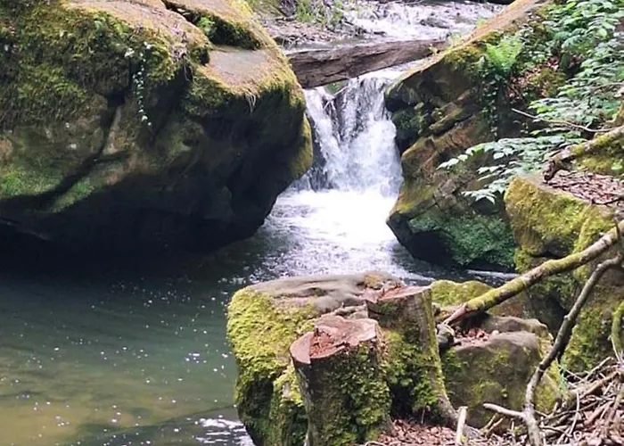 Für Max6gäste 2kids 4erwn