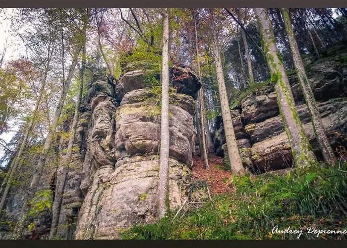 Für Max6gäste 2kids 4erwn