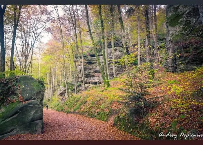 Fuer Max6gaeste 2kids 4erwn Casa vacanze