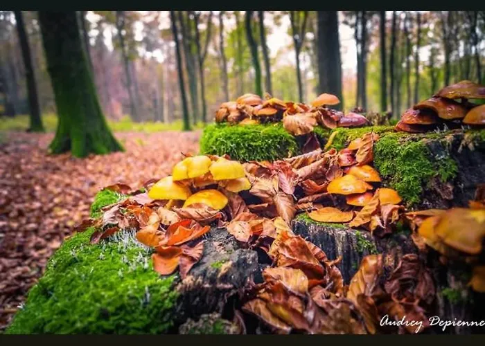 Fuer Max6gaeste 2kids 4erwn Casa vacanze *