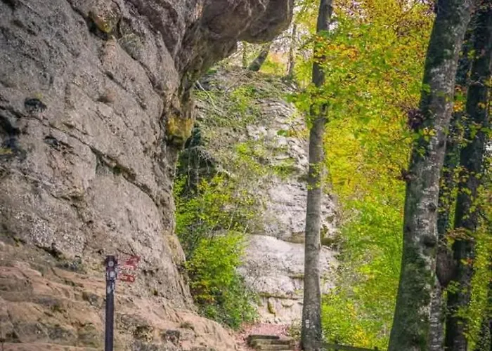 Casa vacanze Fuer Max6gaeste 2kids 4erwn *